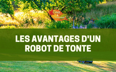 Les avantages d’un robot de tonte pour l’entretien de son jardin
